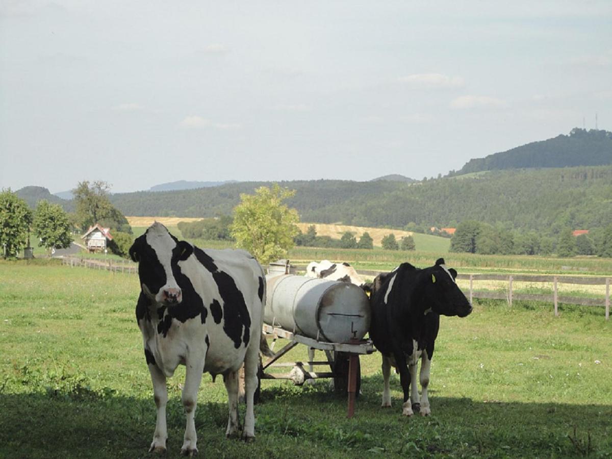 Monteurwohnungen Goeb - Nicht Fuer Urlaubsgaeste Geisa Buitenkant foto